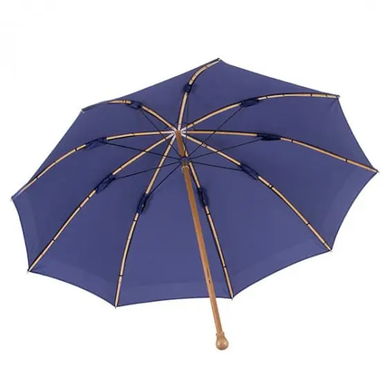 parapluie de berger bleu
