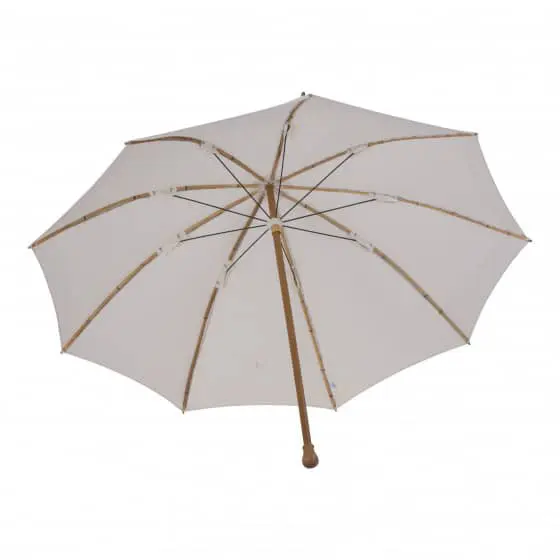 parapluie de berger blanc